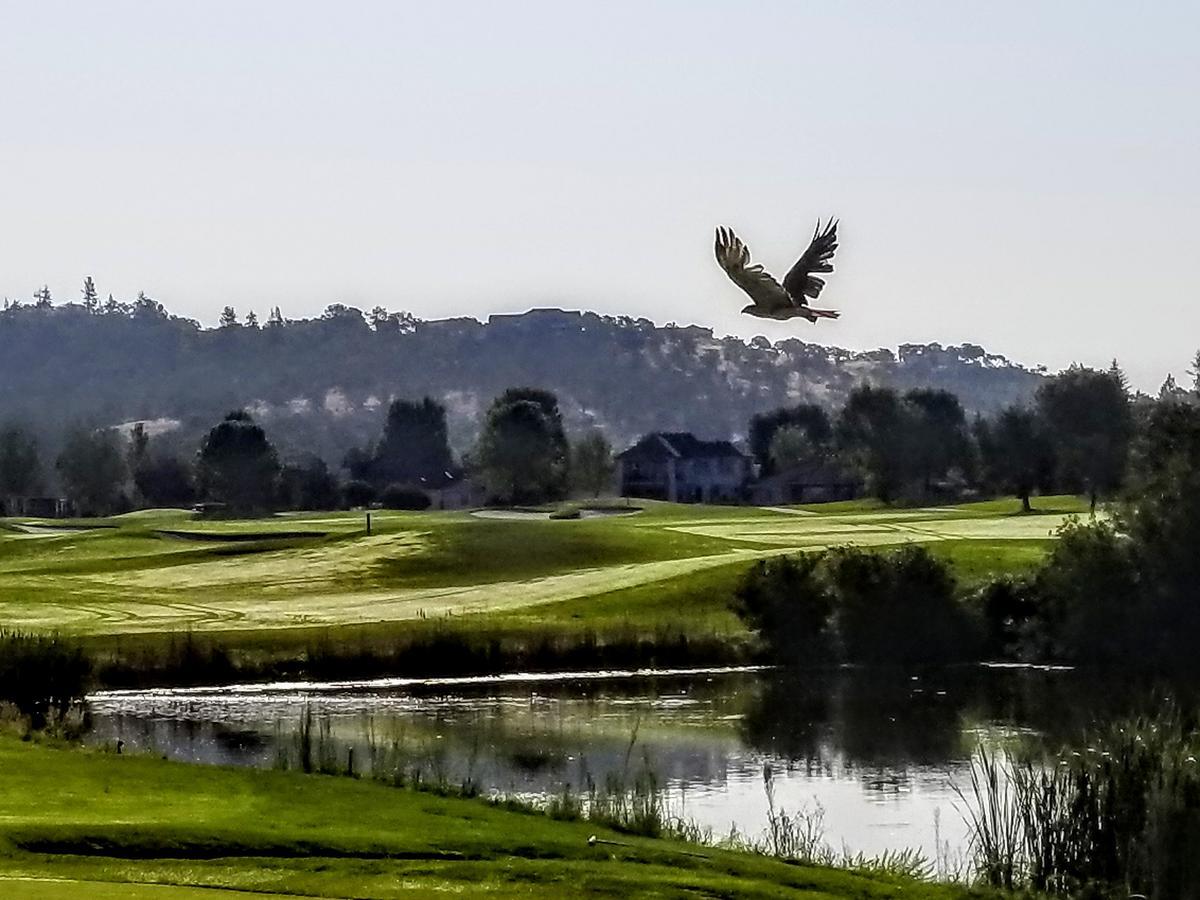 Resort At Eagle Point Golf Club Lodging Екстериор снимка