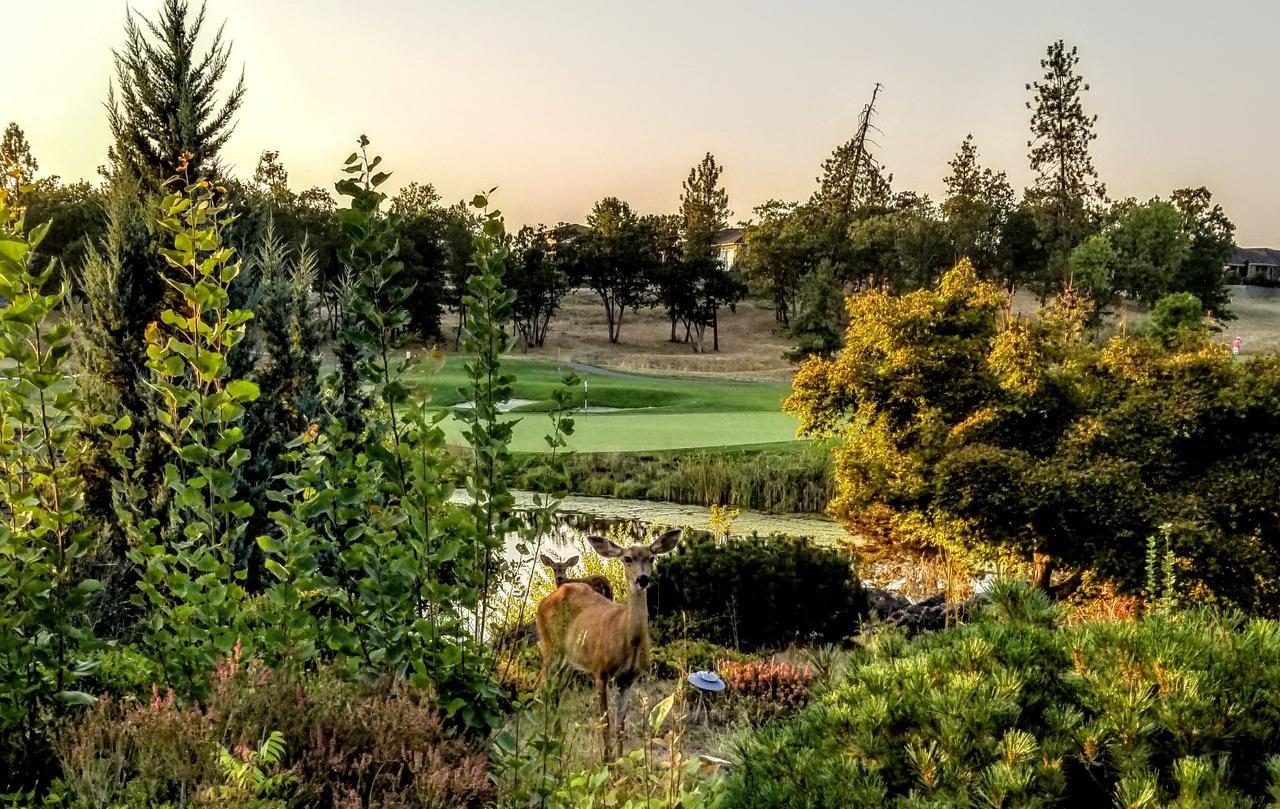 Resort At Eagle Point Golf Club Lodging Екстериор снимка
