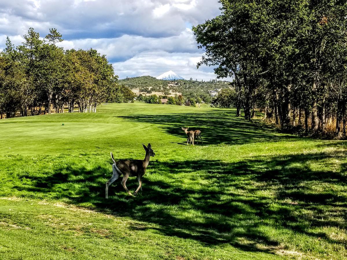 Resort At Eagle Point Golf Club Lodging Екстериор снимка